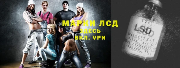 дживик Тында