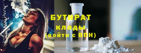 дживик Тында