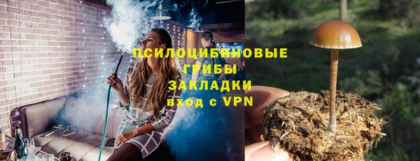mix Туринск