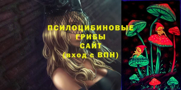 дживик Тында