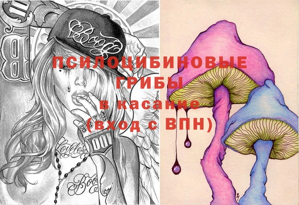 дживик Тында
