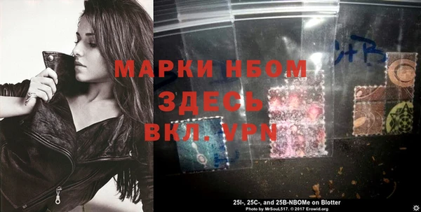 дживик Тында