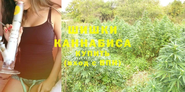 дживик Тында